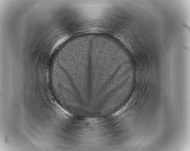 X0000094961402200712271709