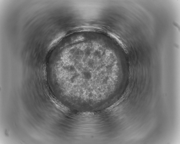 X0000094961403200712271709