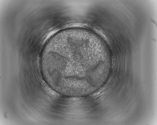 X0000094961404200712271709