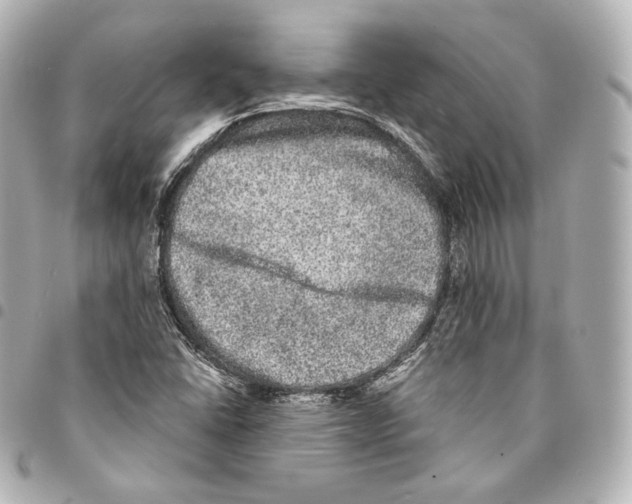 X0000094961406200712271709