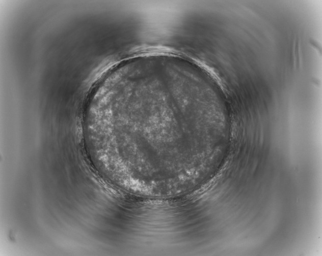 X0000094961407200712271709