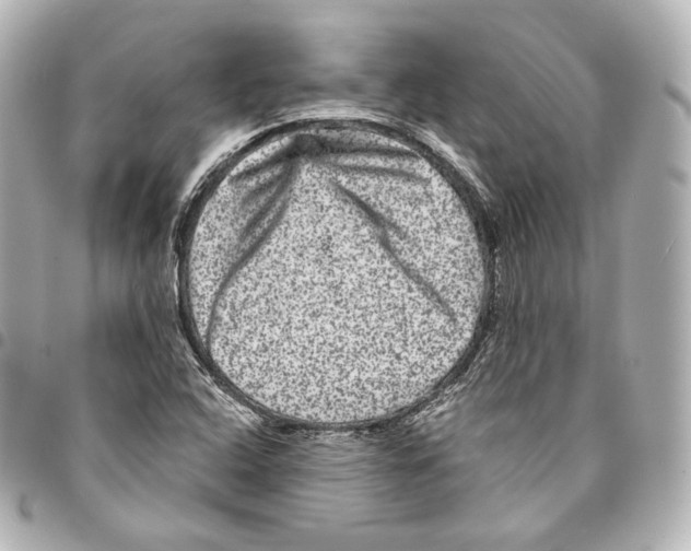 X0000094961408200712271709