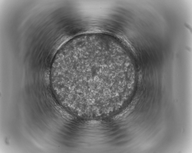 X0000094961409200712271709
