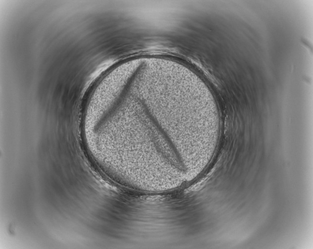 X0000094961410200712271709