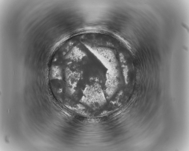 X0000094961411200712271709