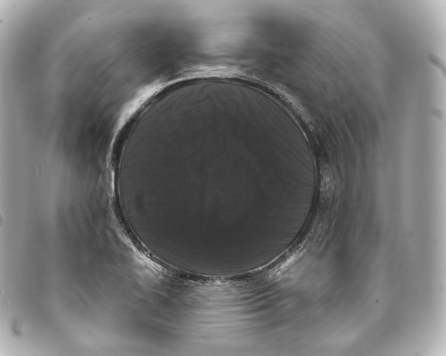 X0000094961414200712271709