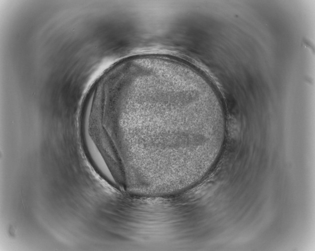 X0000094961416200712271710