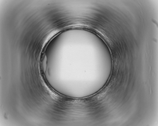 X0000094961418200712271710