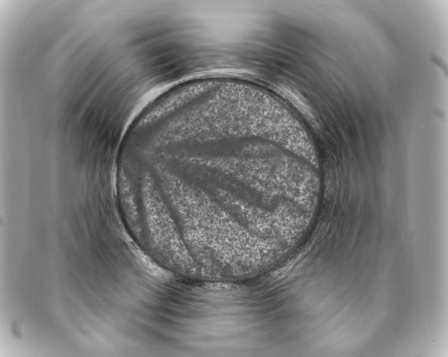 X0000094961420200712271710