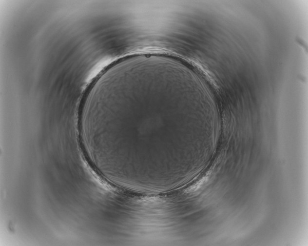 X0000094961422200712271710