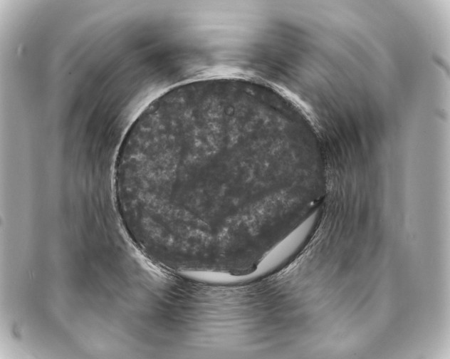 X0000094961423200712271710