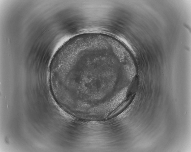X0000094961424200712271710