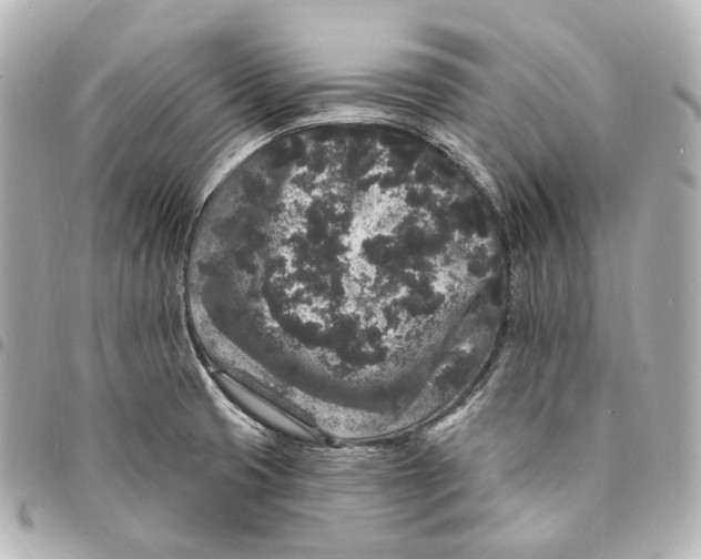 X0000094961425200712271710