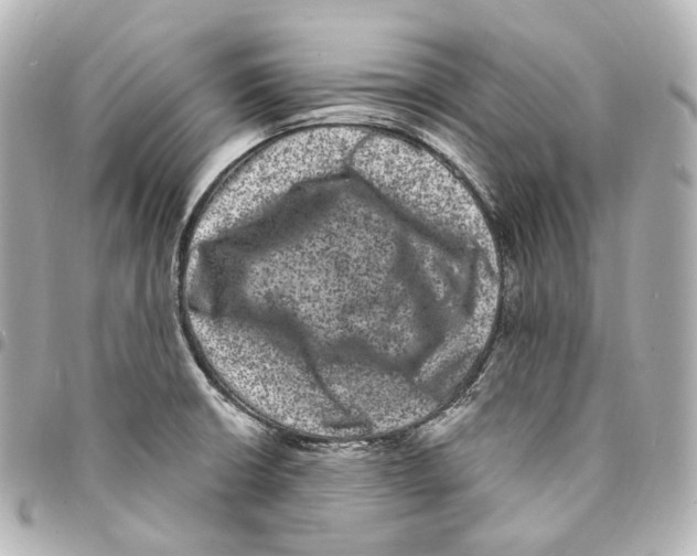 X0000094961426200712271710