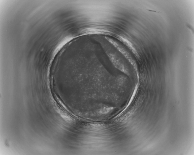 X0000094961427200712271710