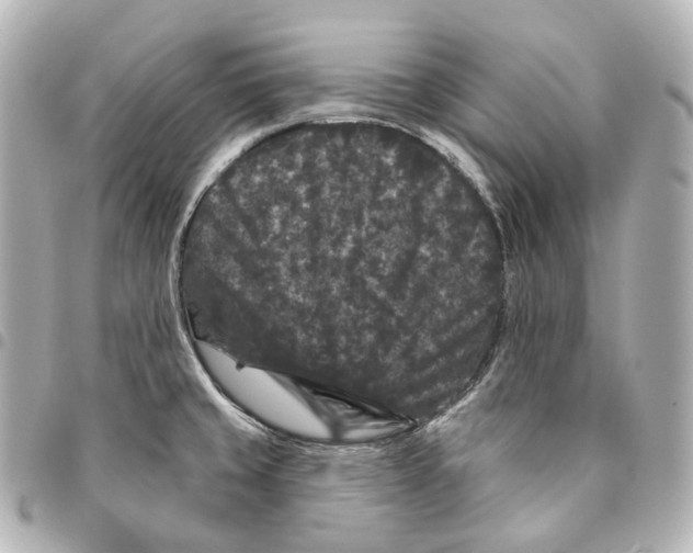X0000094961429200712271710