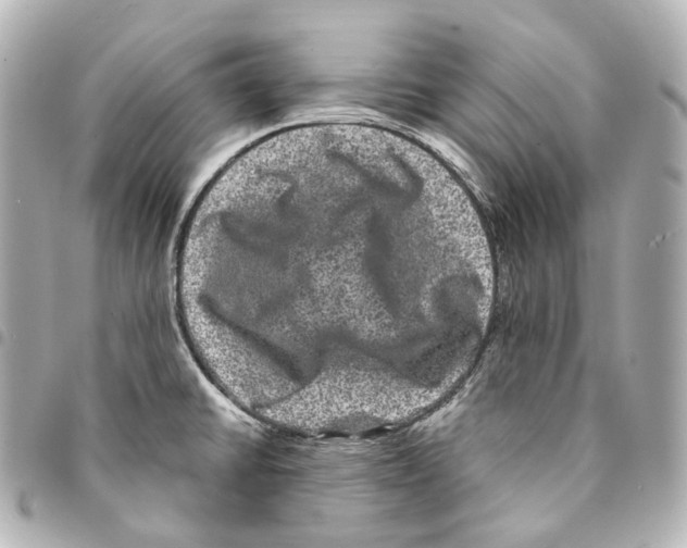 X0000094961430200712271710