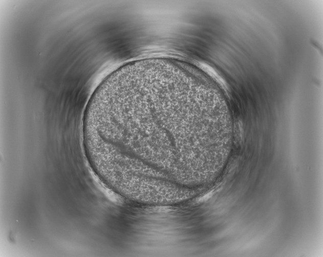 X0000094961431200712271710