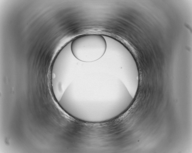 X0000094961432200712271710