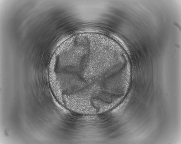 X0000094961433200712271710
