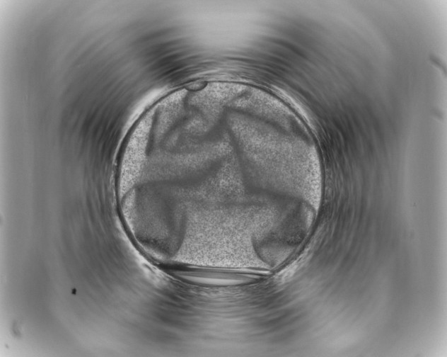 X0000094961434200712271710
