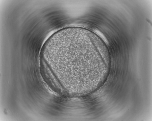X0000094961436200712271710