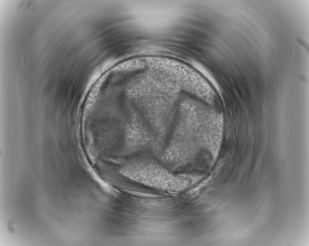 X0000094961437200712271710