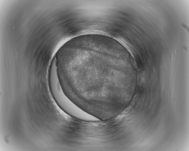 X0000094961438200712271710