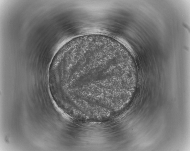 X0000094961439200712271710
