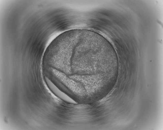 X0000094961440200712271710