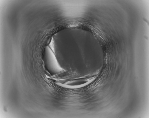 X0000094961441200712271709