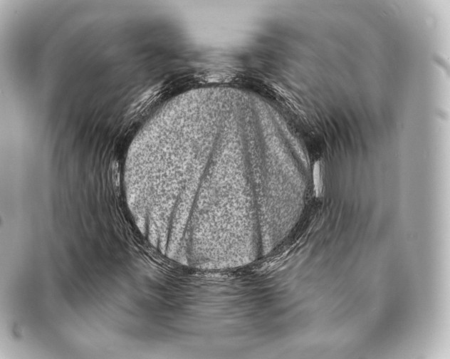 X0000094961443200712271709