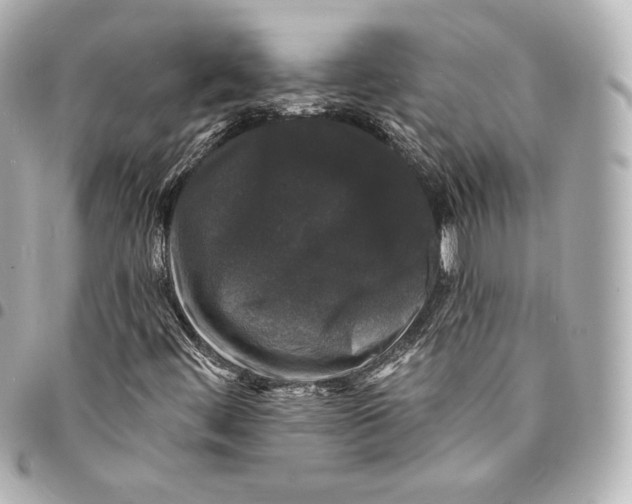 X0000094961444200712271709