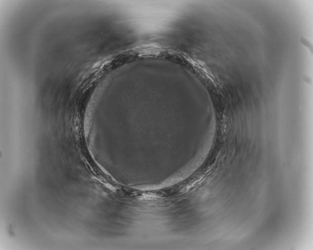 X0000094961445200712271709