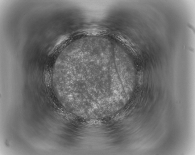 X0000094961446200712271709