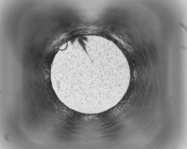 X0000094961447200712271709