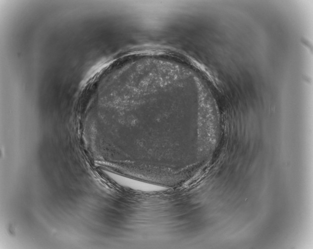 X0000094961448200712271709