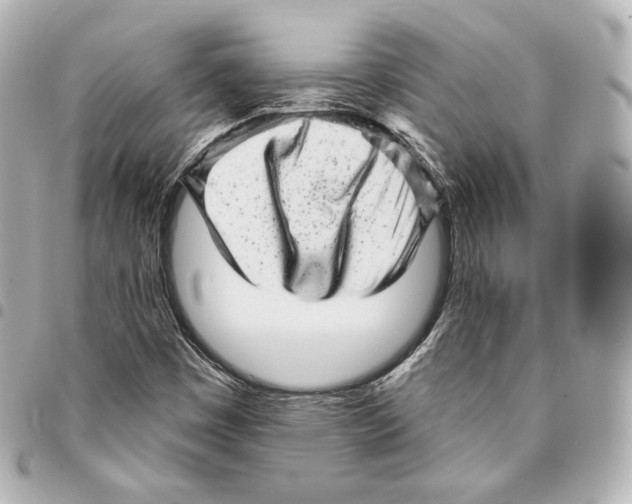 X0000094961449200712271709