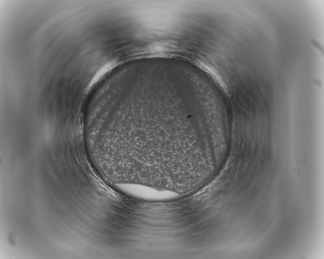 X0000094961450200712271709