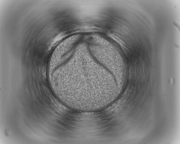 X0000094961451200712271709