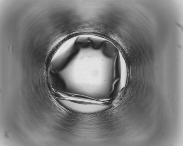 X0000094961452200712271709
