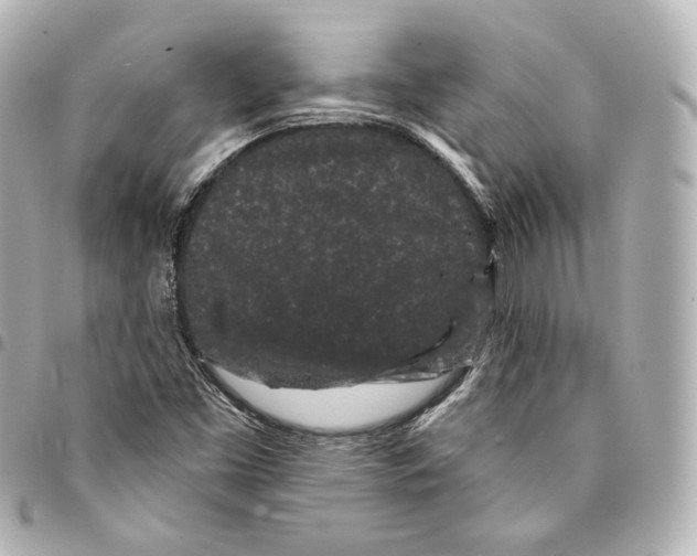 X0000094961453200712271709