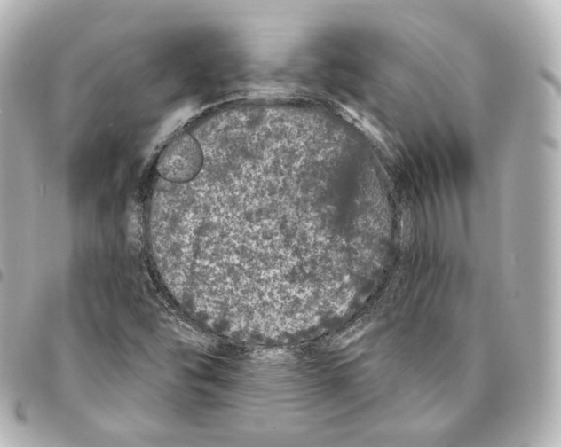 X0000094961454200712271709