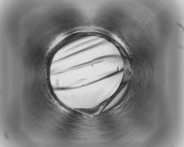 X0000094961456200712271709