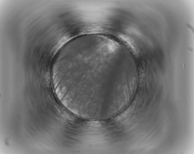 X0000094961457200712271709