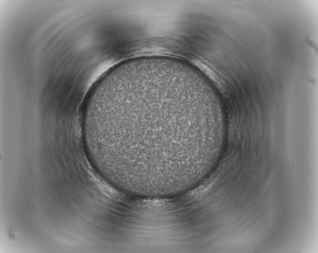 X0000094961458200712271709
