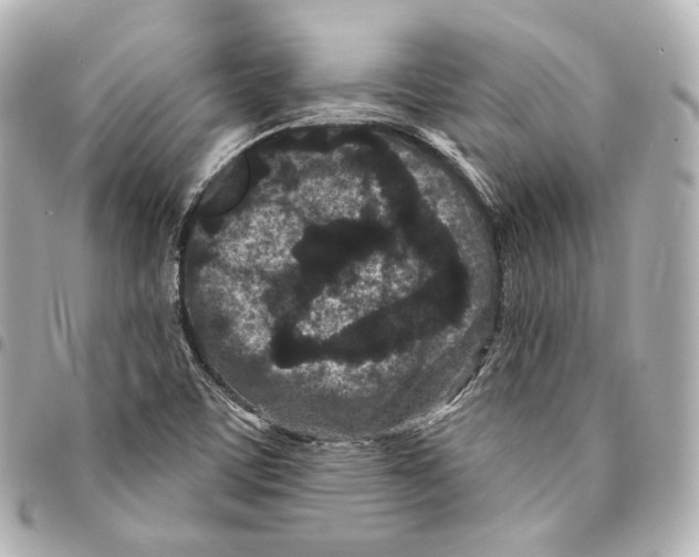 X0000094961459200712271709