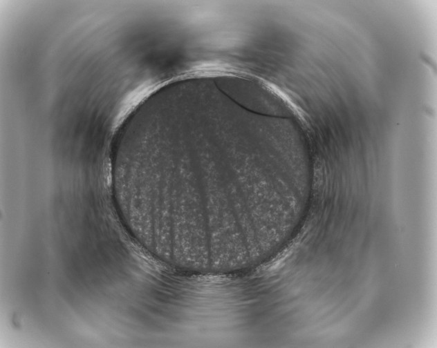 X0000094961461200712271709