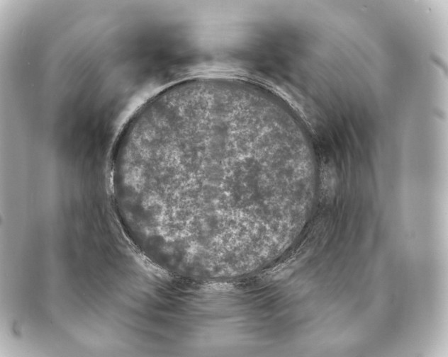 X0000094961462200712271709