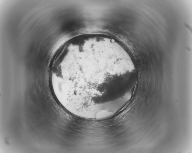 X0000094961463200712271709